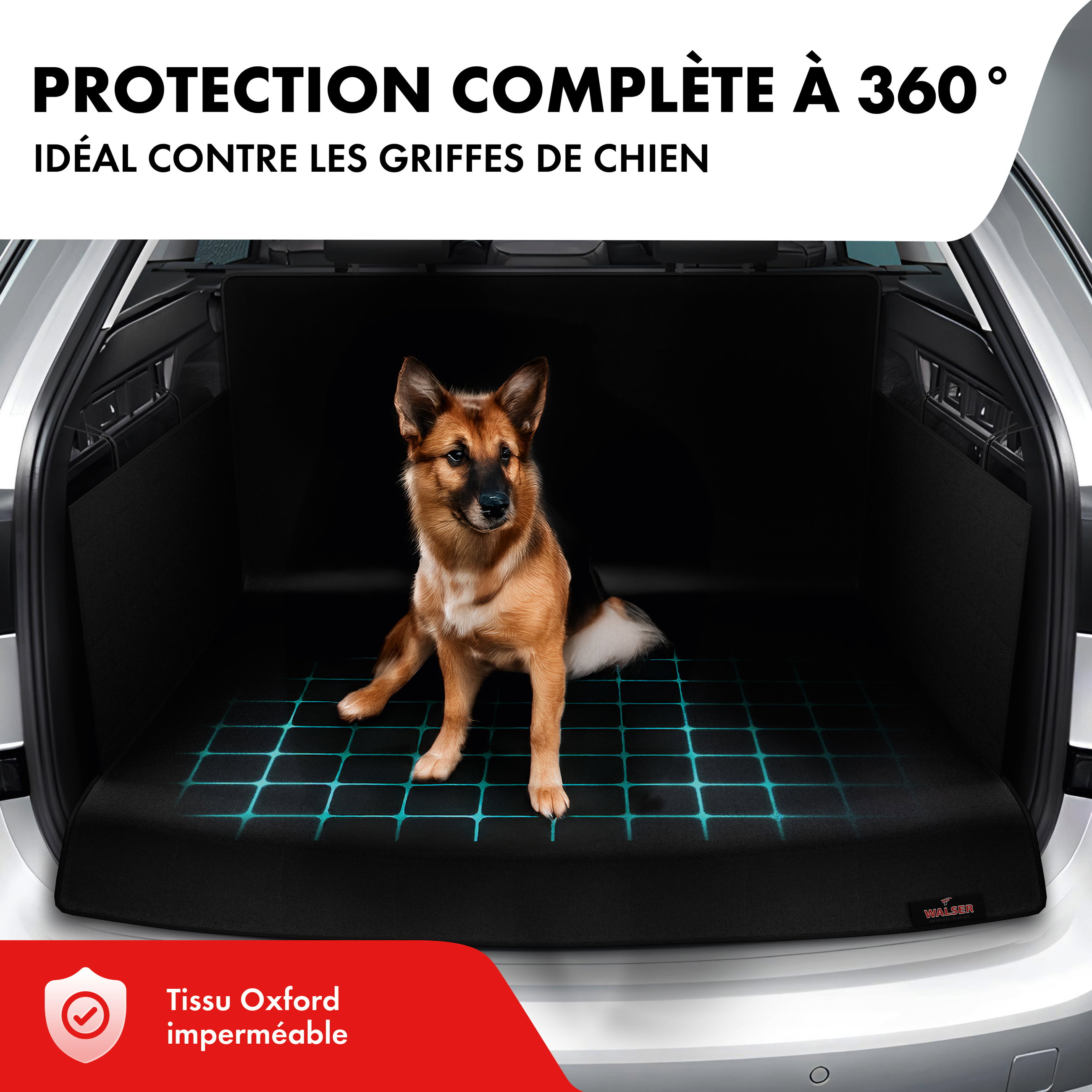 Couverture de coffre pour chien César