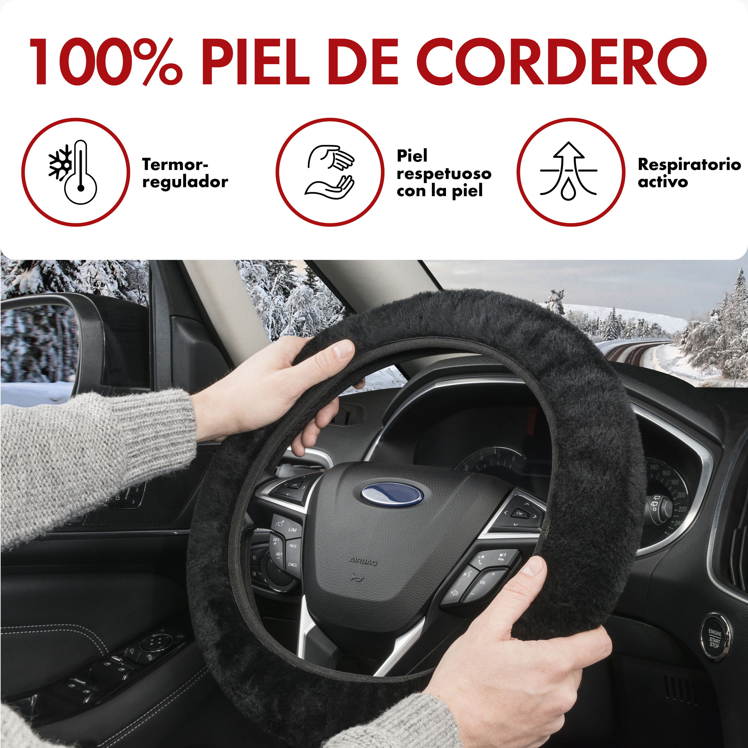 Transport, Fahrzeug, Lenkrad