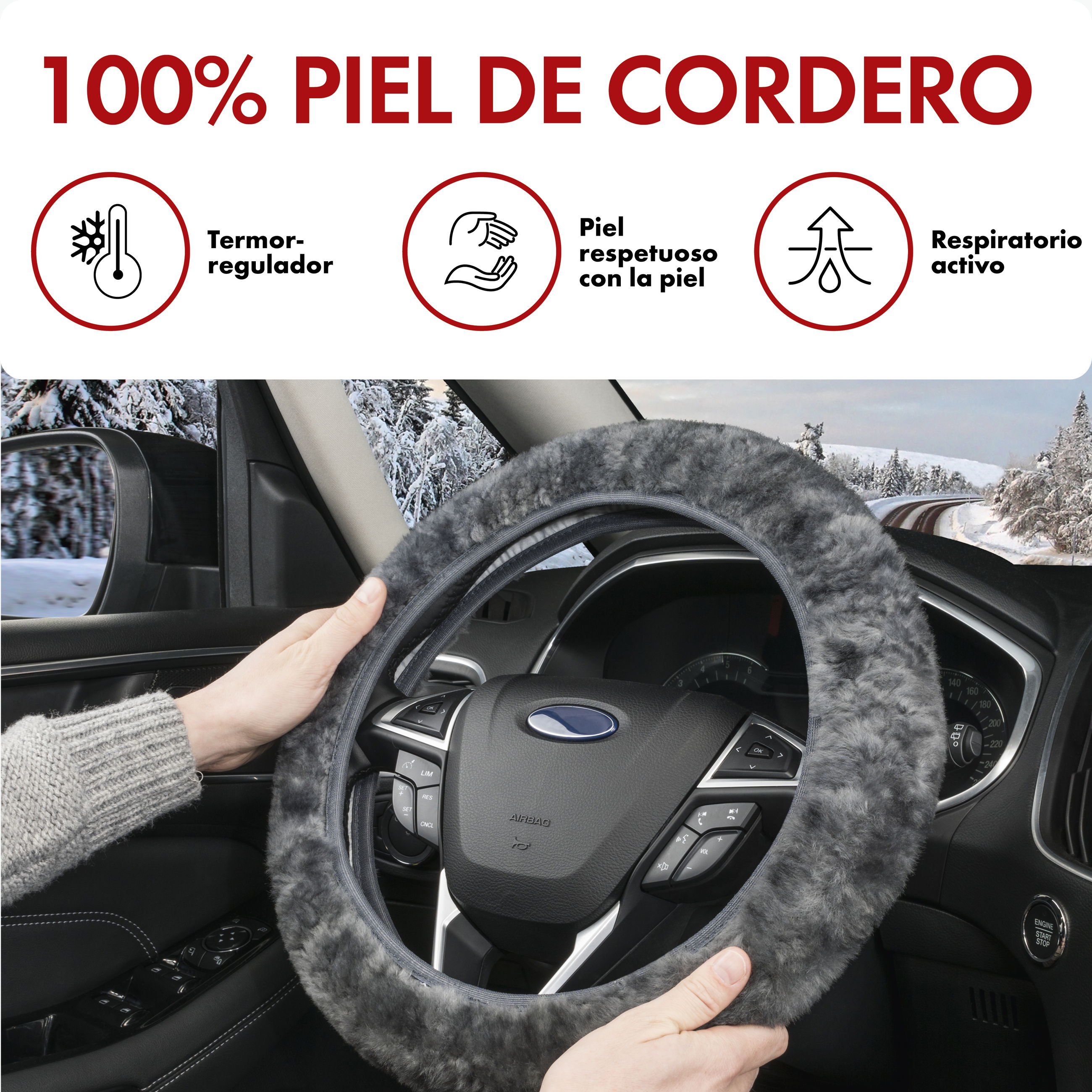 Transport, Fahrzeug, Rad, Lenkrad, Person