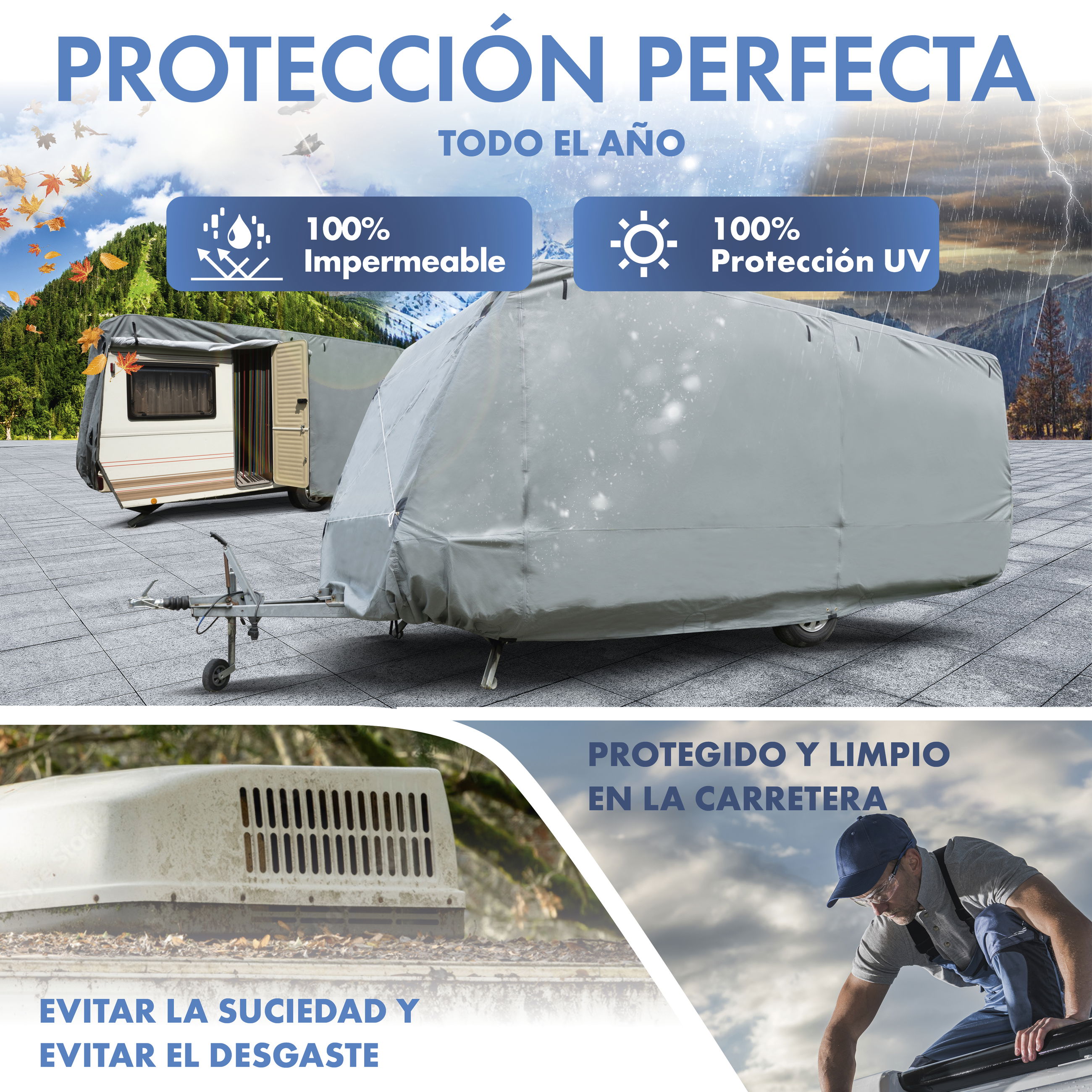 Tierheim, Erwachsener, Männlich, Mann, Person