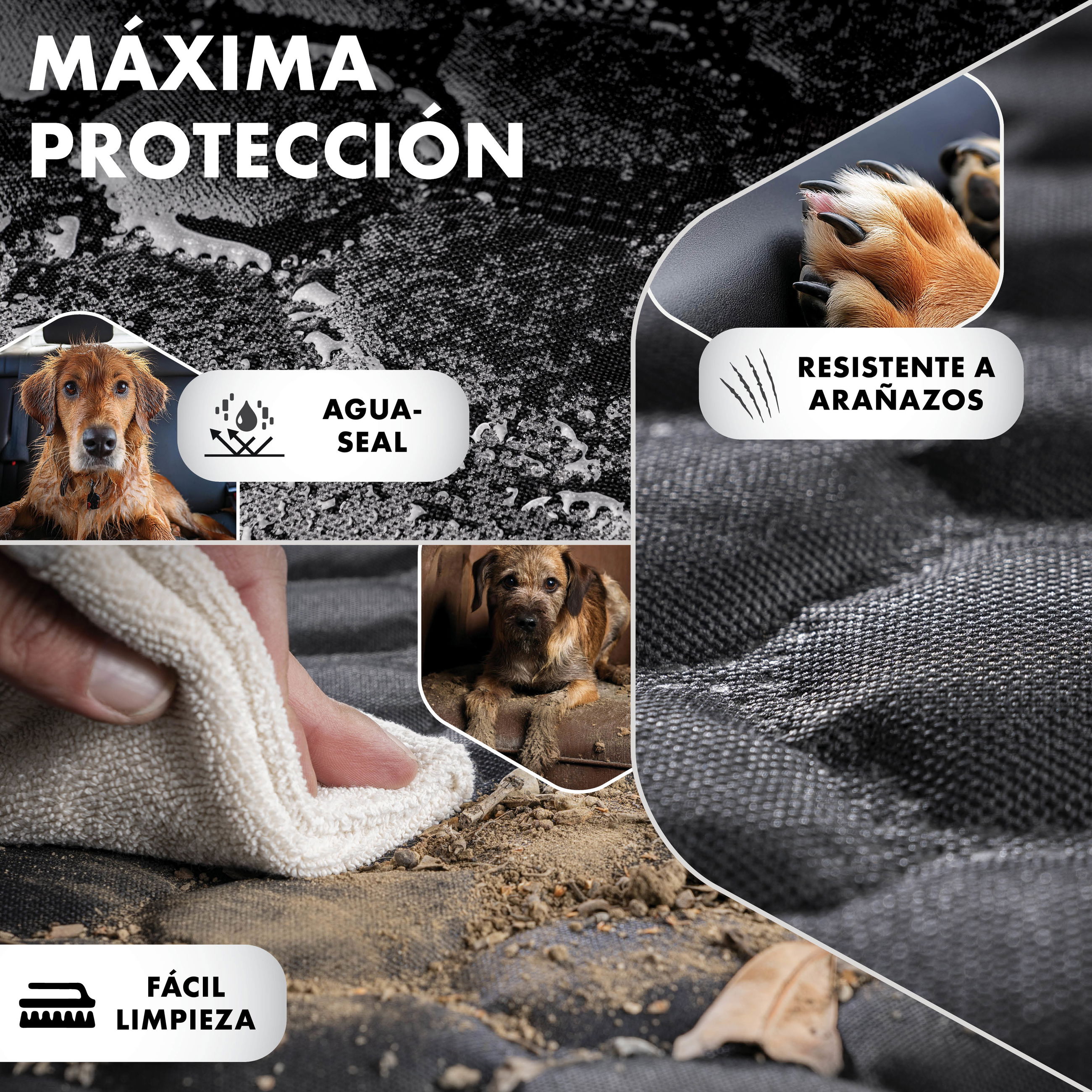 Hund, Säugetier, Haustier, Elektronik, Hardware