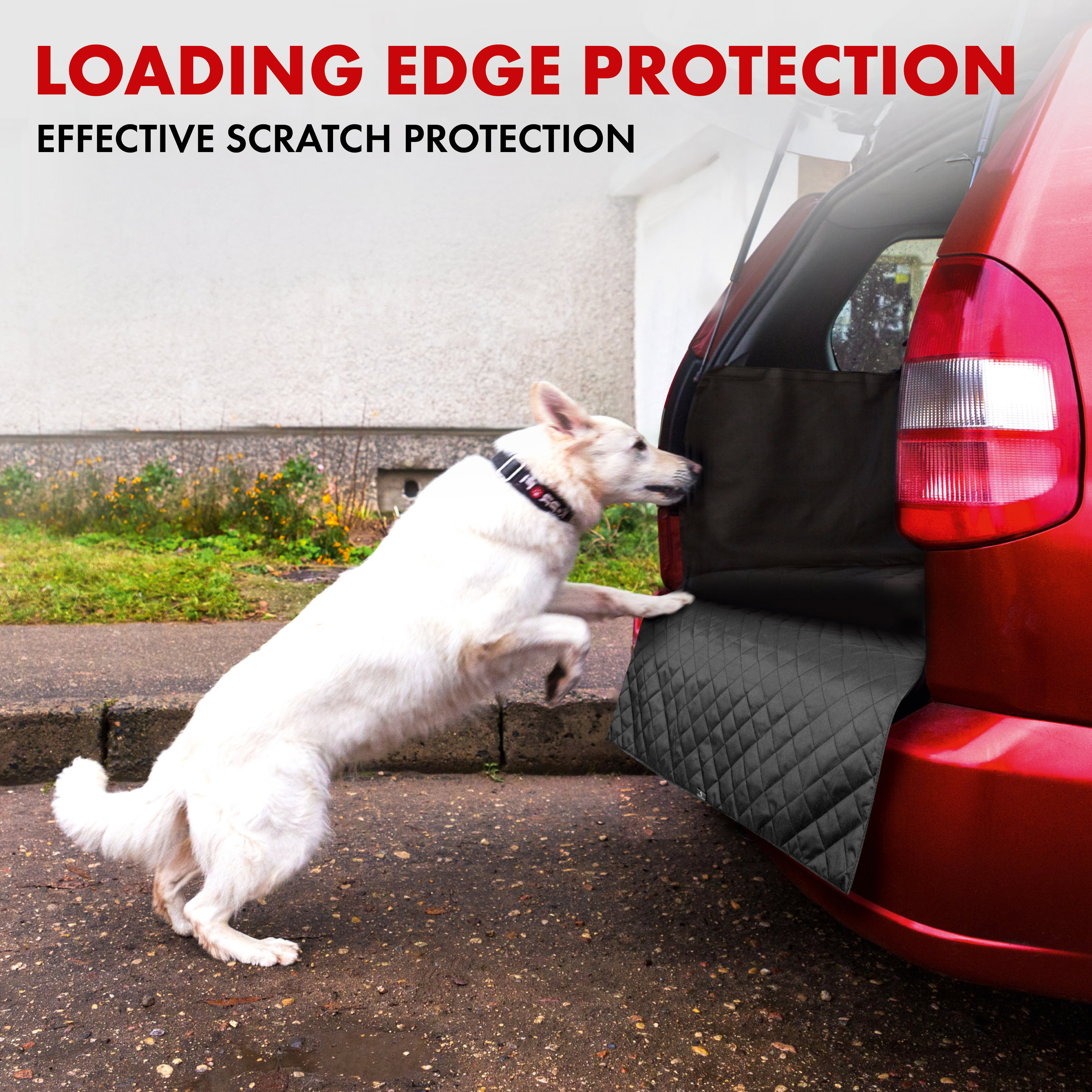 Boot lid dog blanket Bello