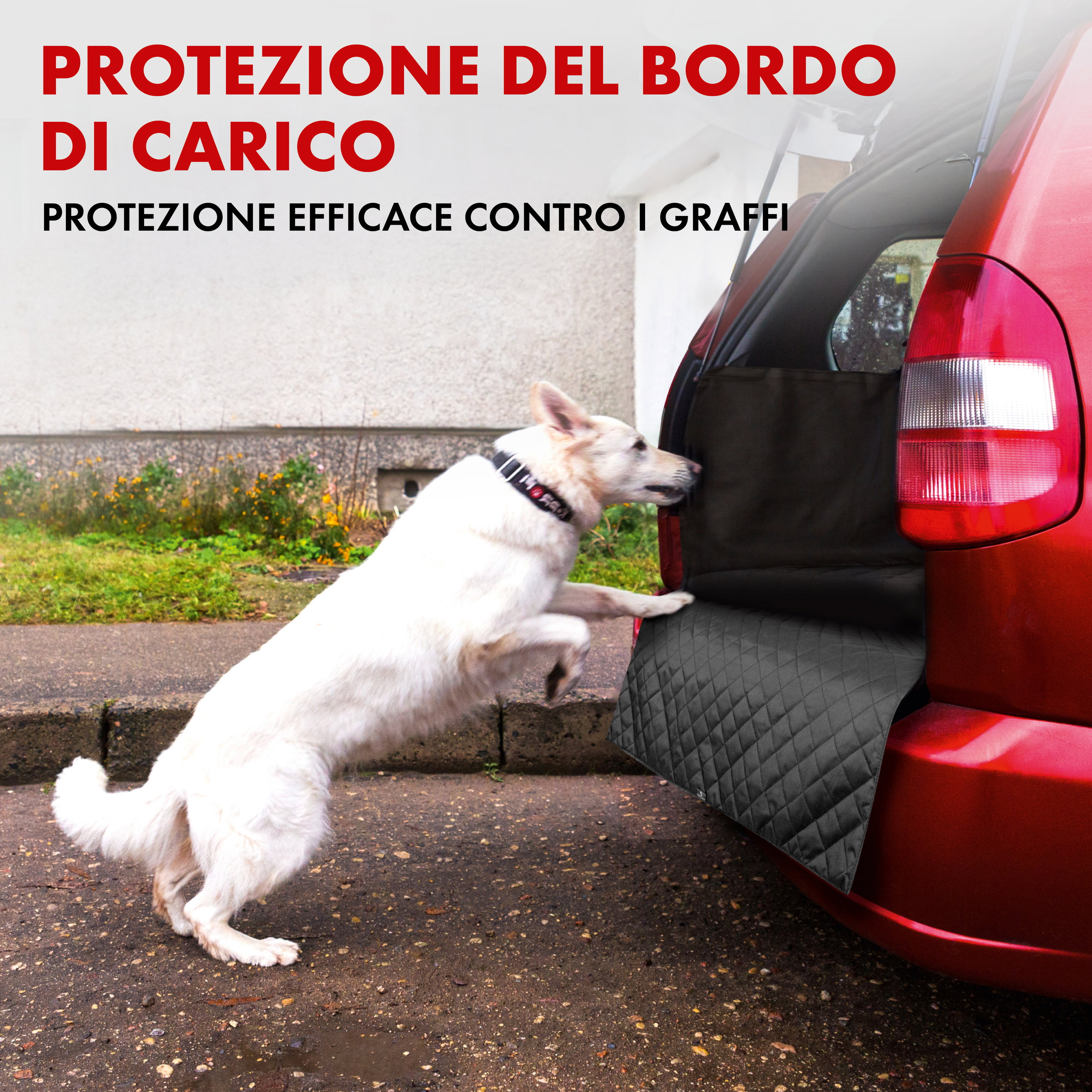 Coperta per cane coperchio del bagagliaio Bello