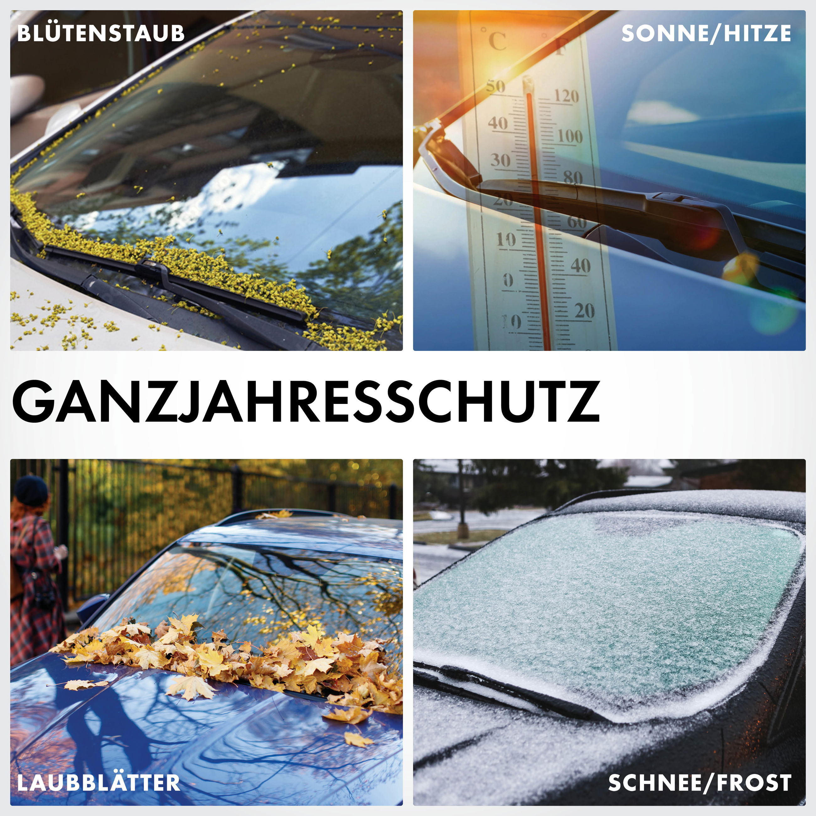 Auto, Windschutzscheibe, Person, Werbung, Plakat