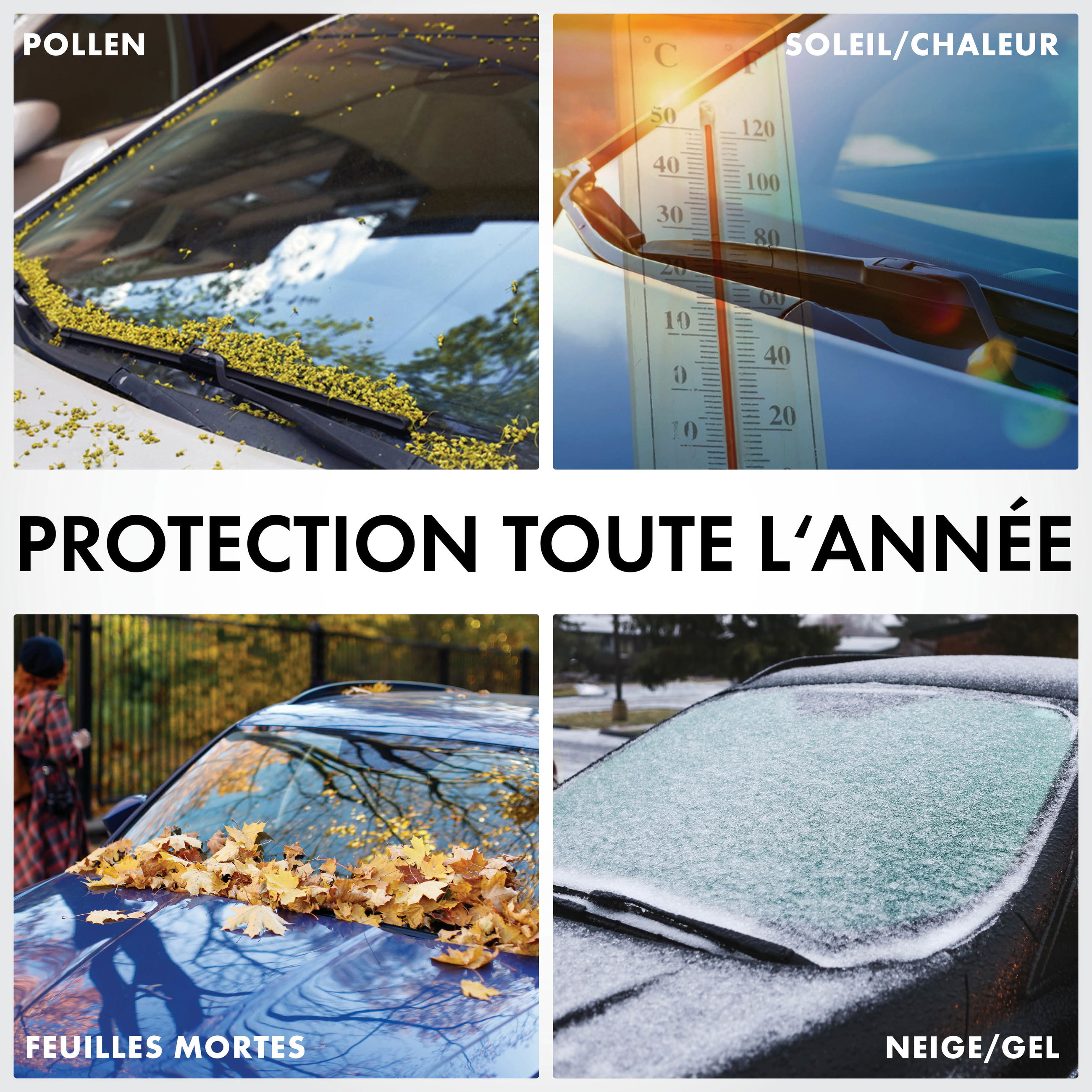 Auto, Windschutzscheibe, Person, Werbung, Plakat