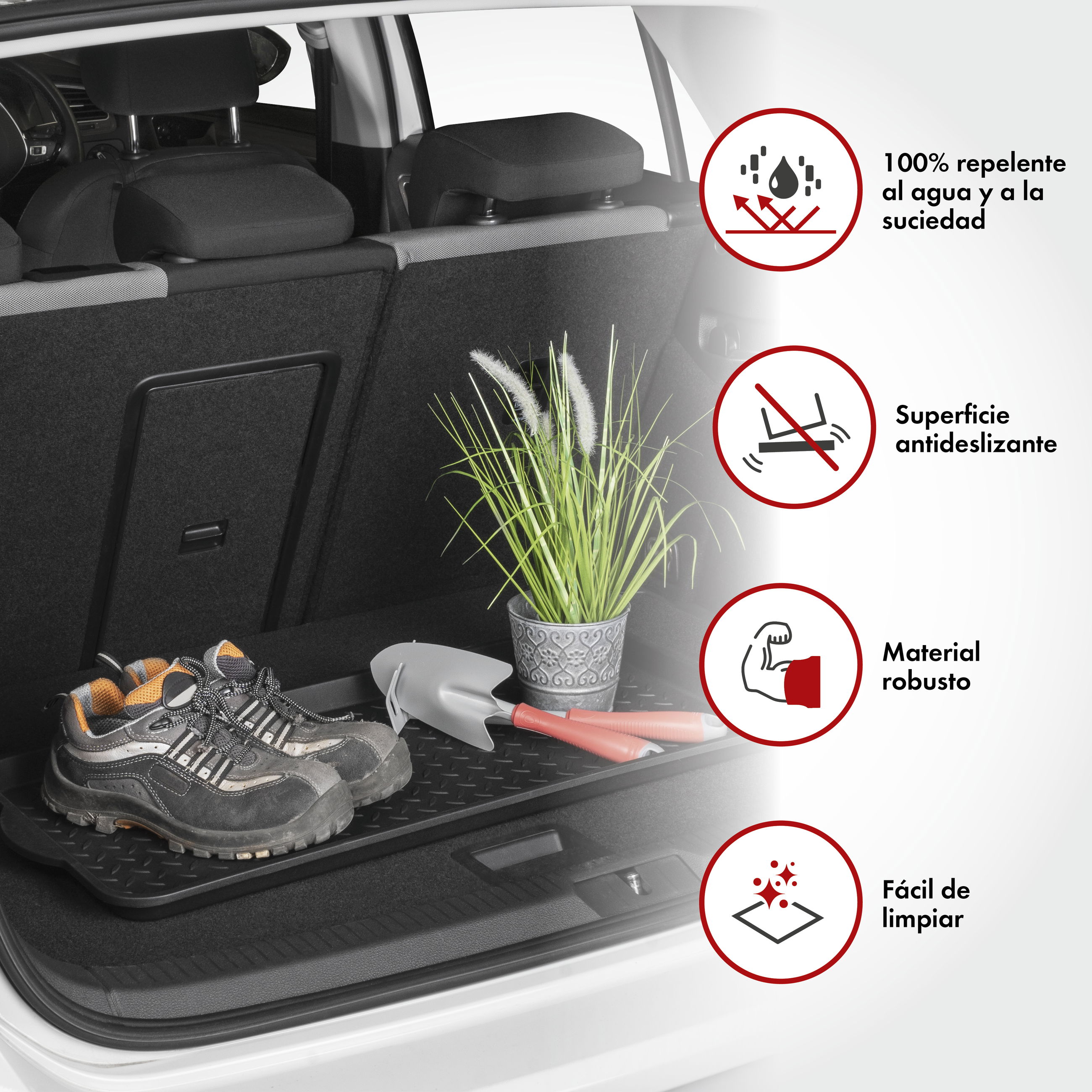 Schuh, Sneaker, Pflanze, Kofferraum, Topfpflanze