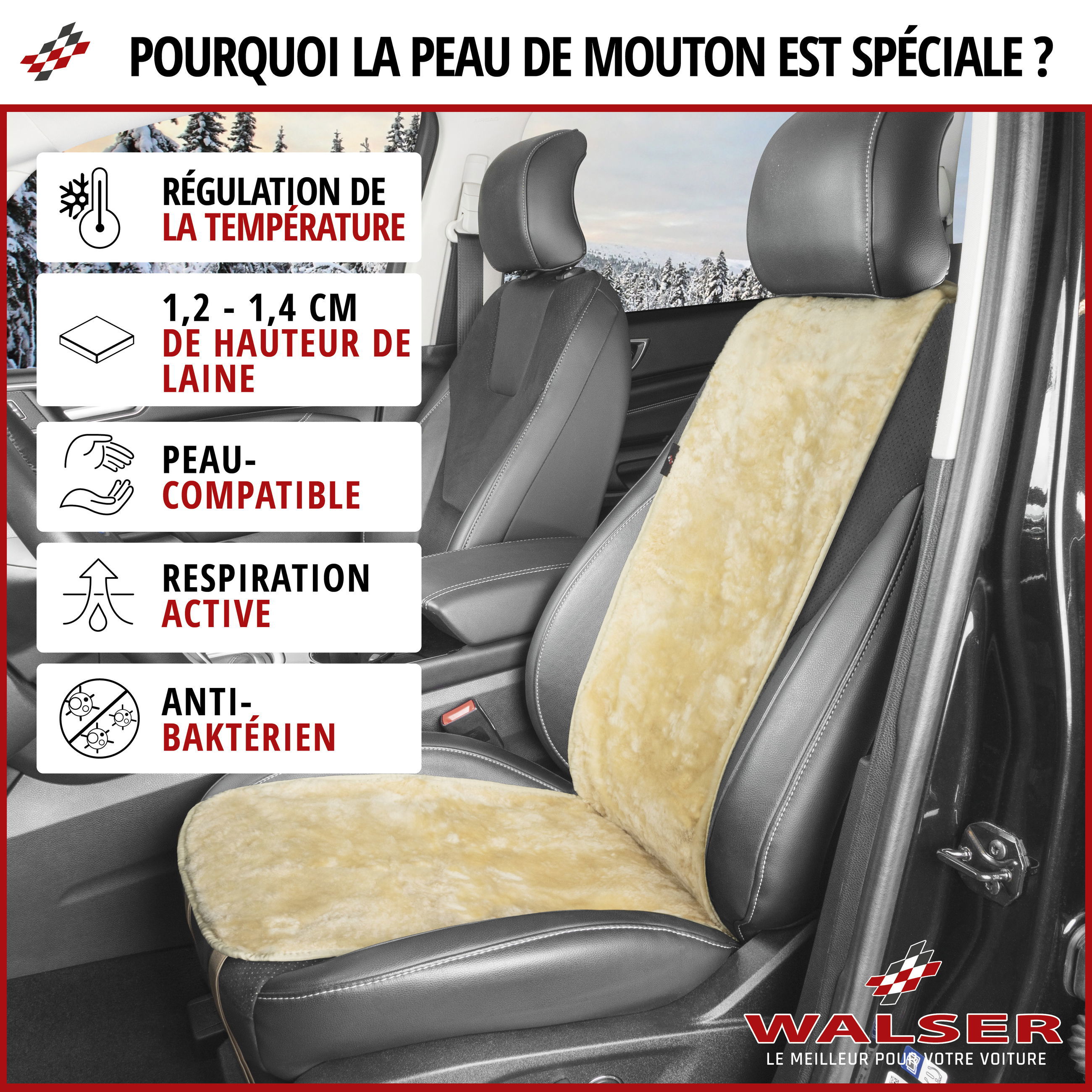 Kissen, Dekoration für Zuhause, Stuhl, Mobiliar