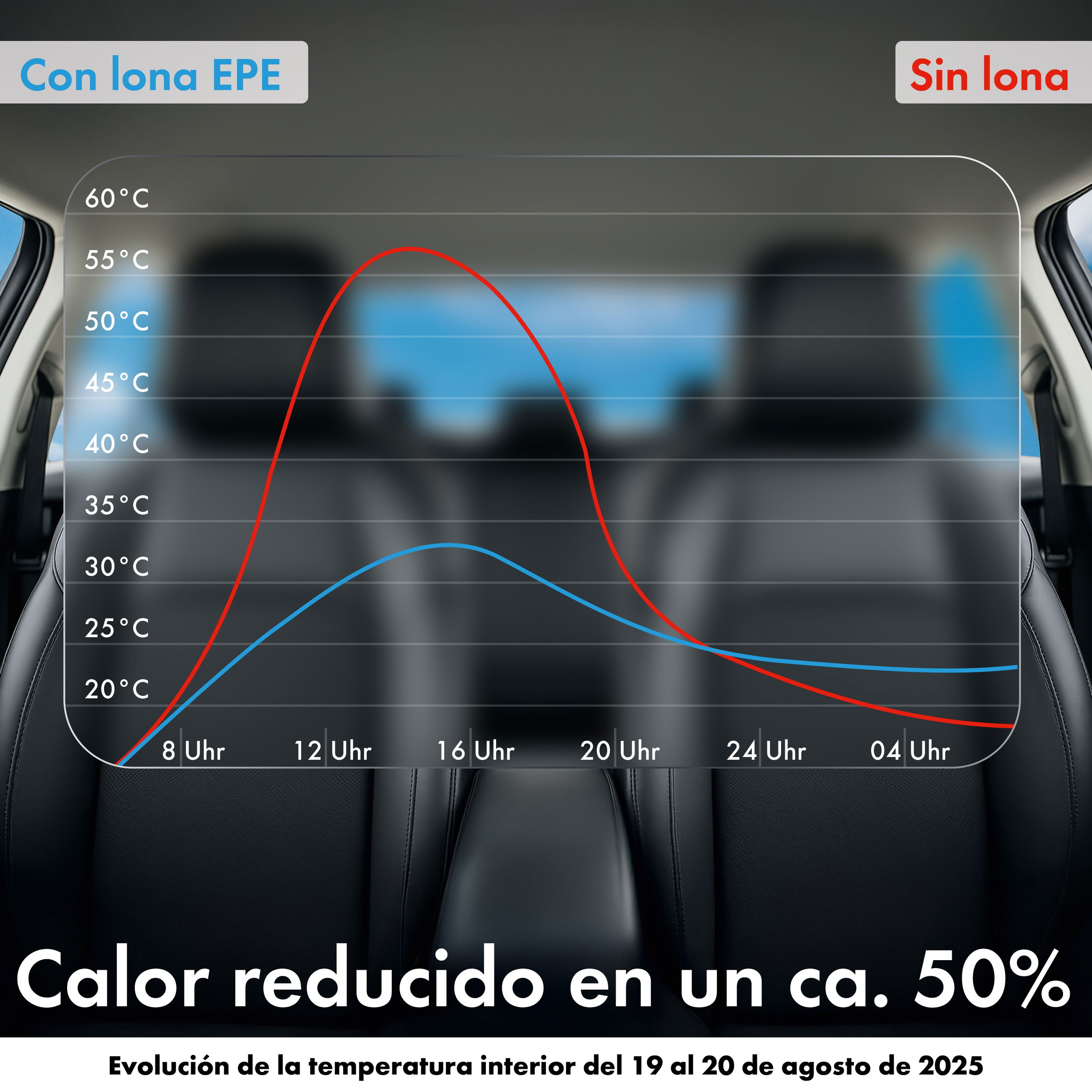Kissen, Dekoration für Zuhause, Kissen, Dekoration für Zuhause