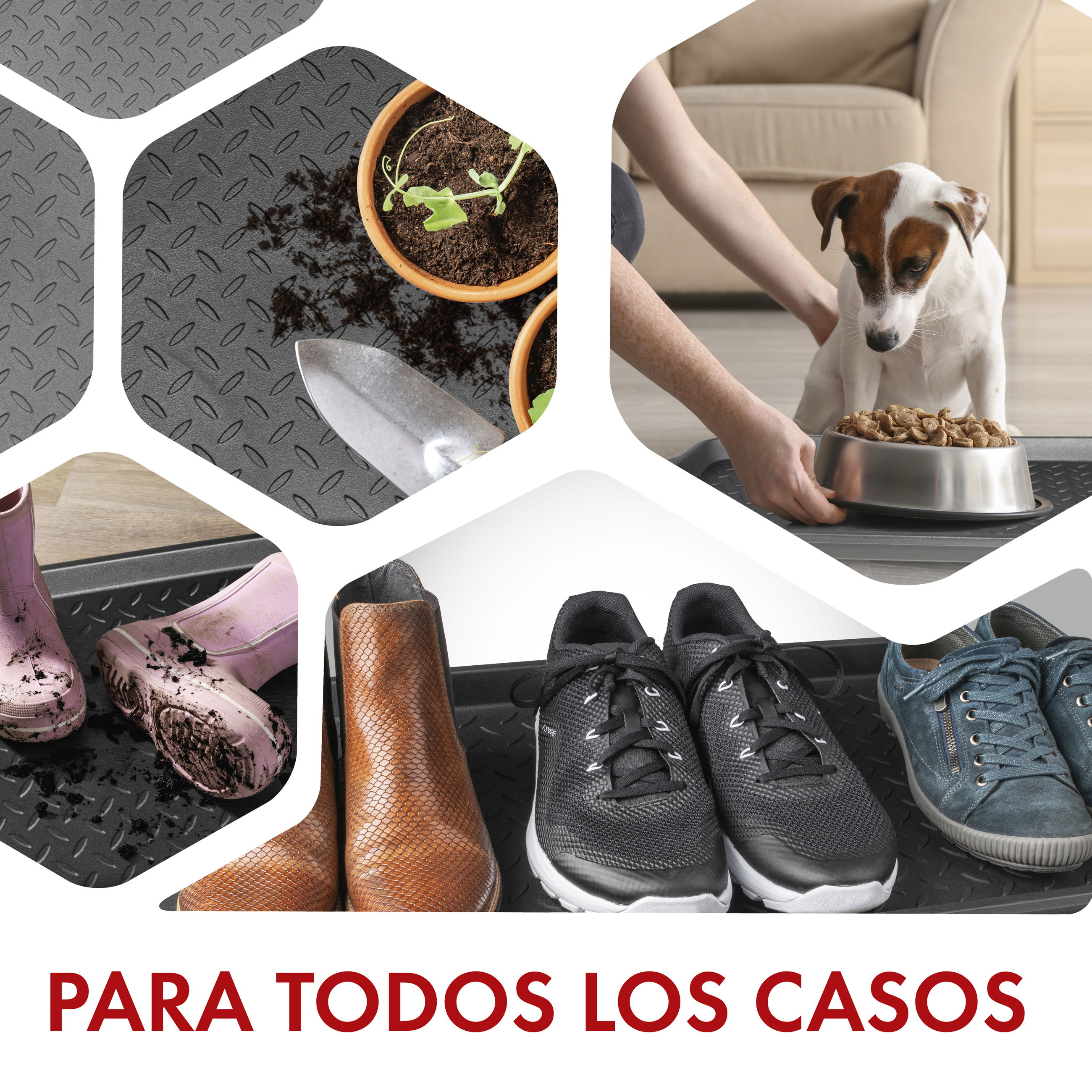 Schuh, Sneaker, Pflanze, Pflanze im Topf, Pflanzgefäß