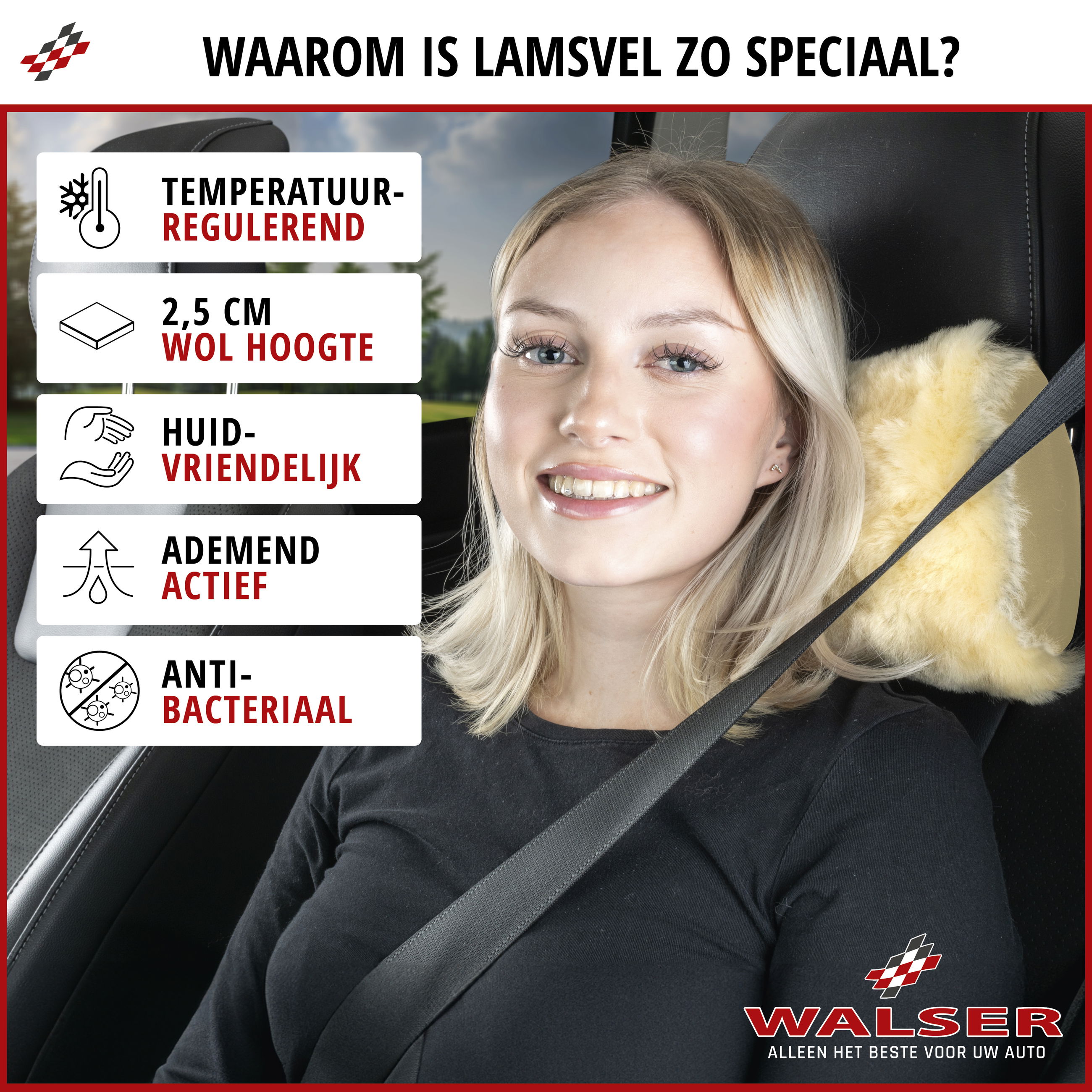 Zubehor, Gürtel, Kissen, Person, Frau