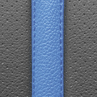 Zwart/Blauw