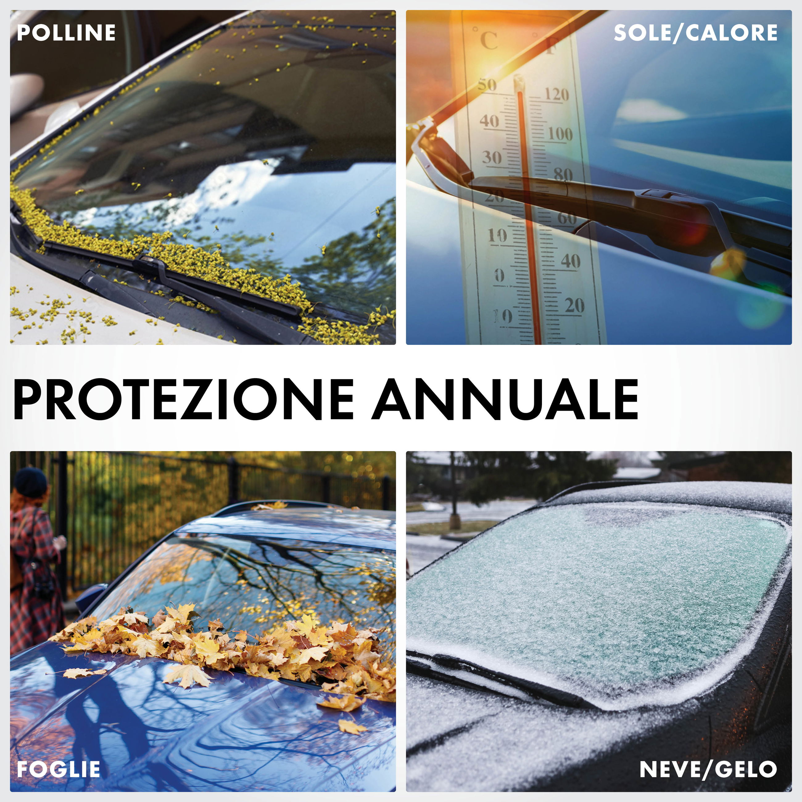 Auto, Fahrzeug, Windschutzscheibe, Person, Plakat