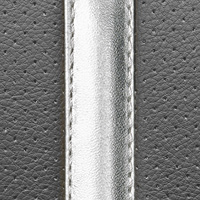 Zwart/Zilver