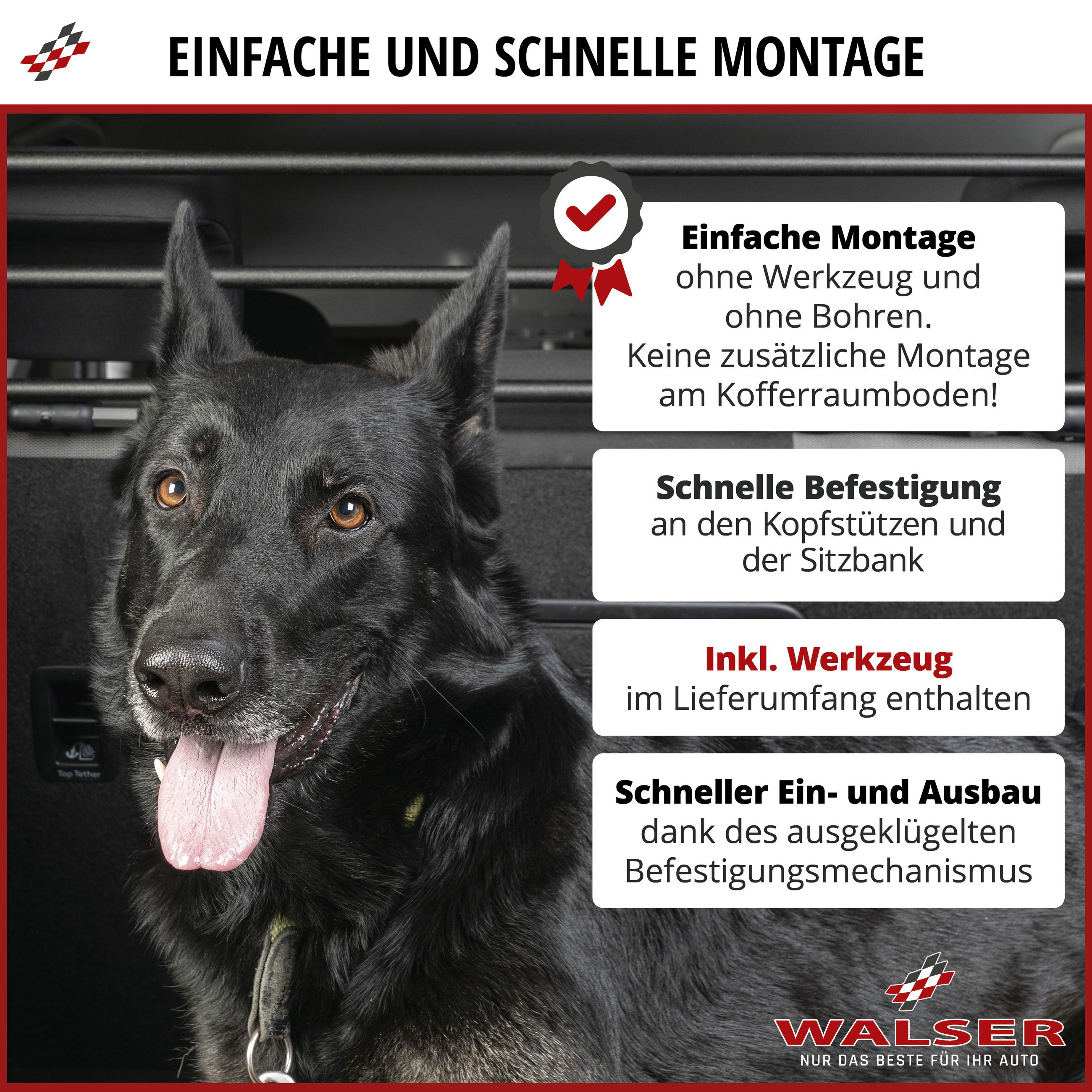 img_prd_inf_05_58068_dog_guard__sall__aec__v1 Hund, Säugetier, Haustier, Polizeihund