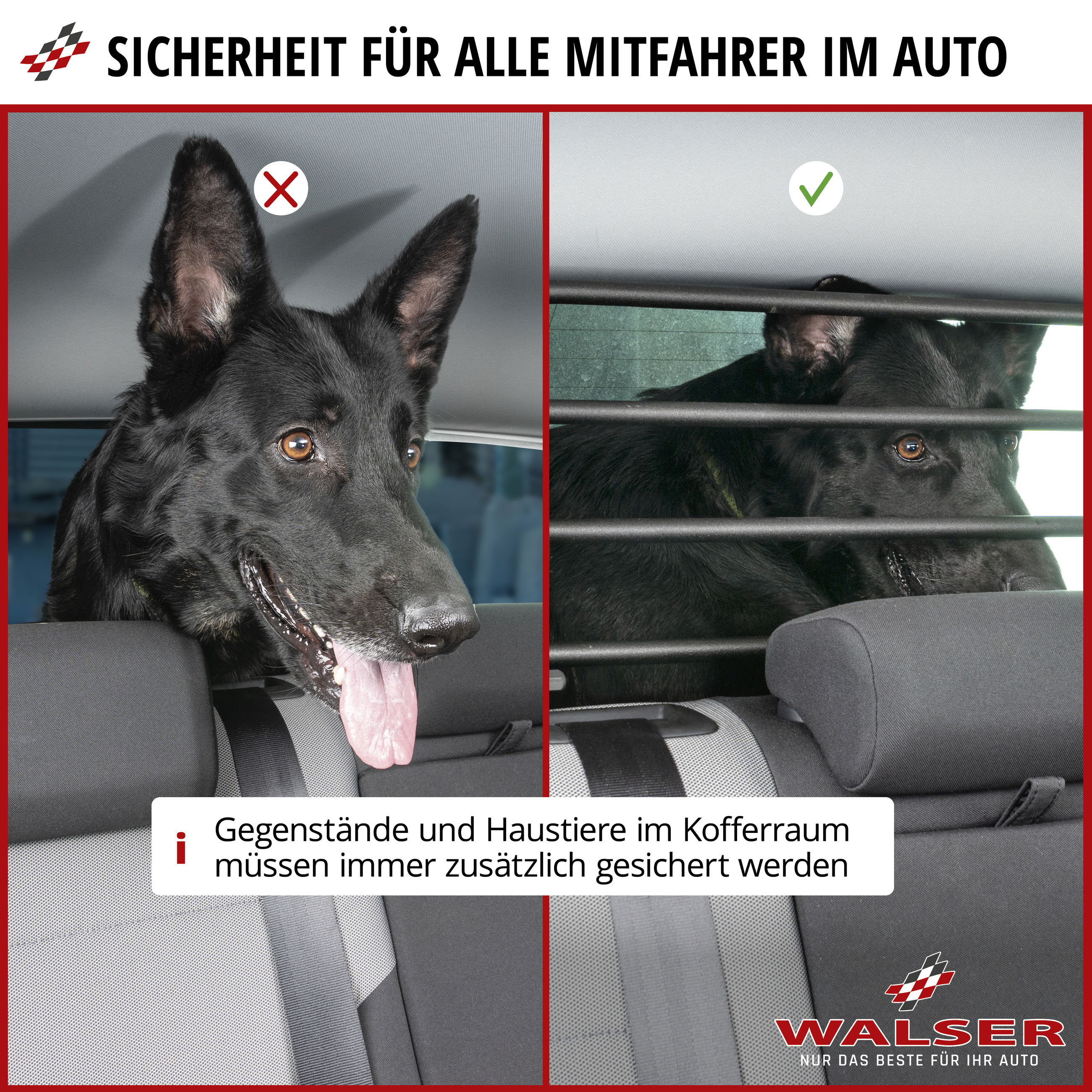 img_prd_inf_02_58068_dog_guard__sall__aec__v1 Kissen, Dekoration für Zuhause, Hund, Haustier