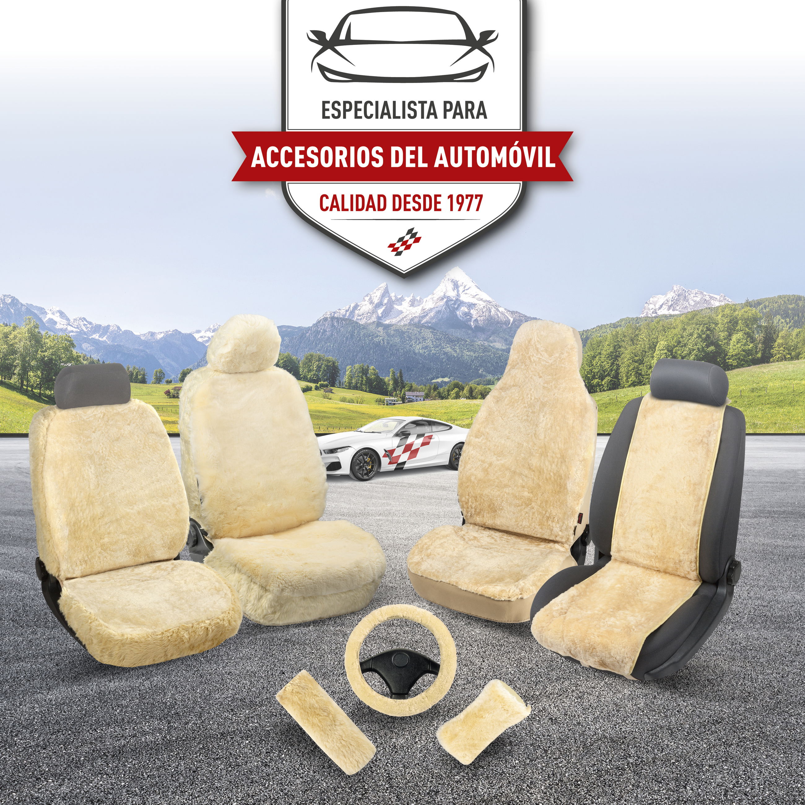 Kissen, Dekoration für Zuhause, Stuhl, Mobiliar, Auto