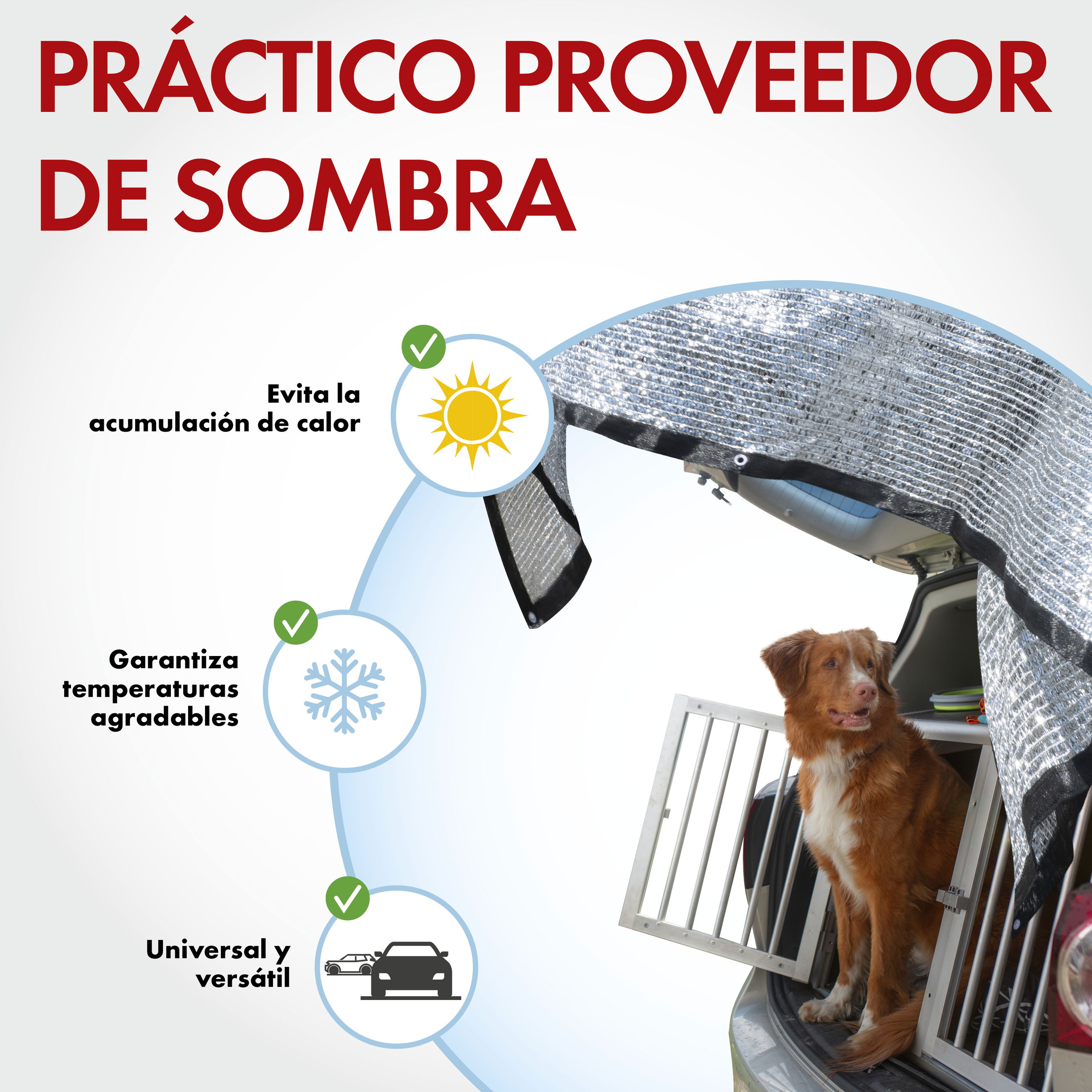 Hund, Haustier, Höhle, Drinnen, Hundehütte