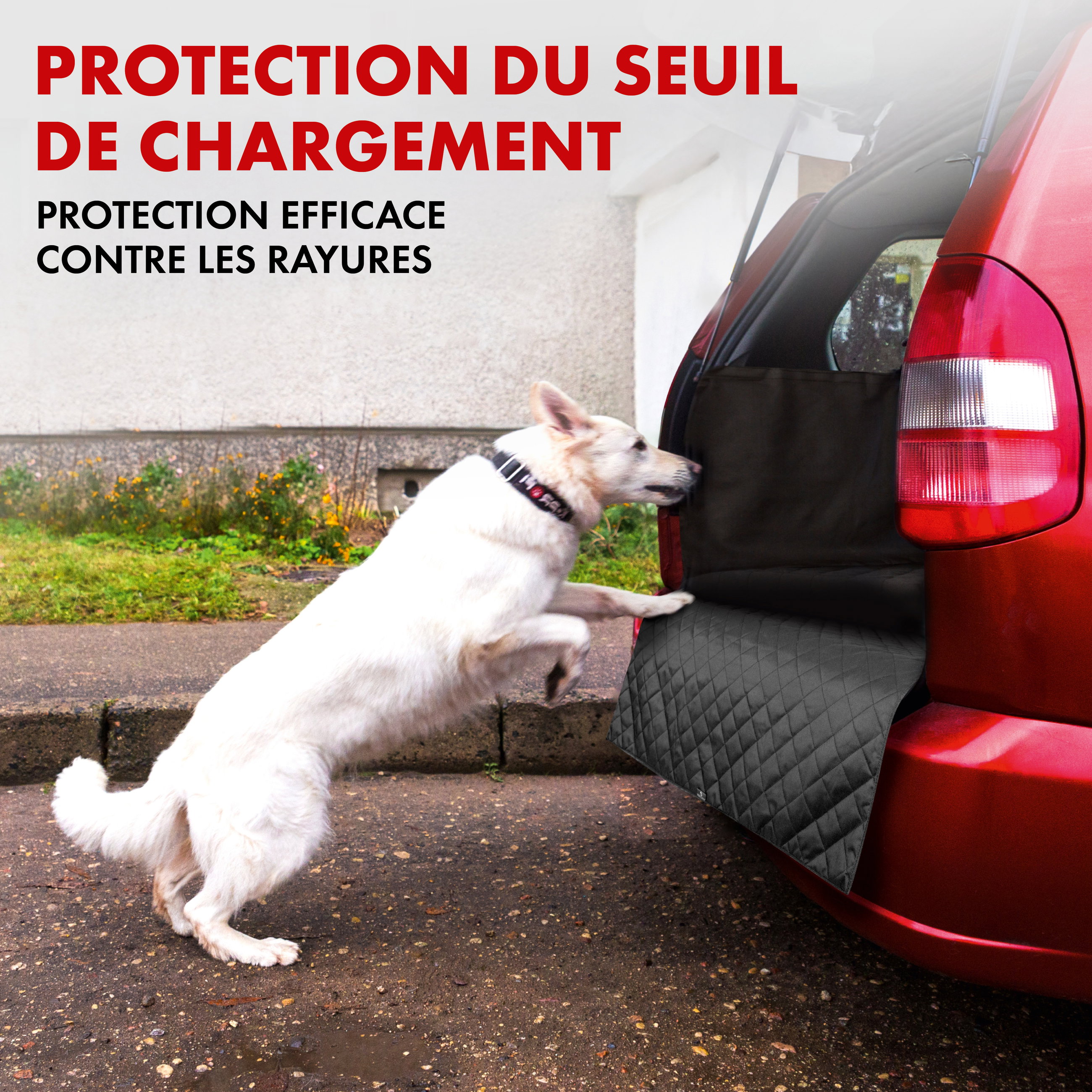 Couverture de coffre pour chien Bello