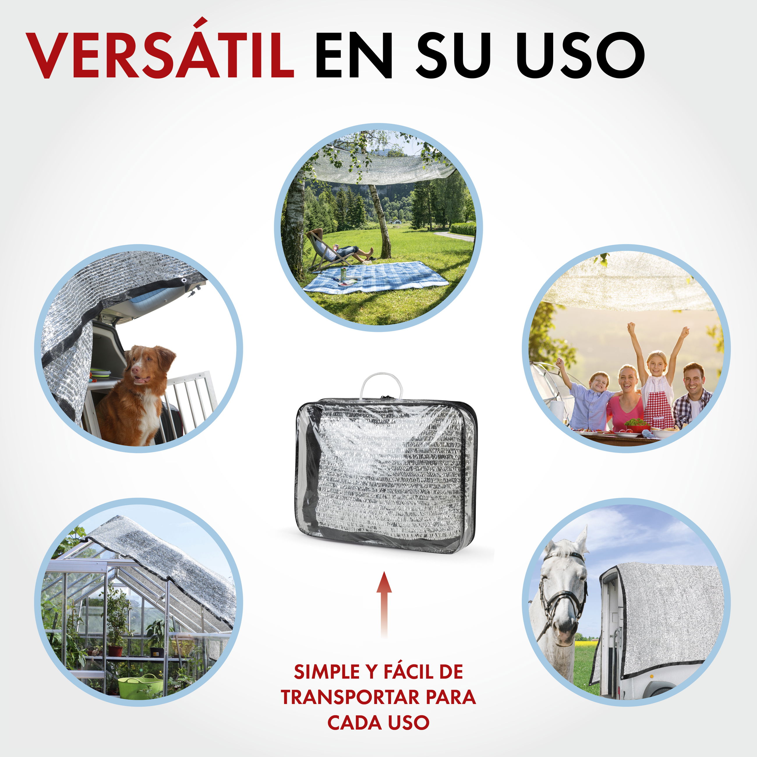 Person, Photographie, Draußen, Hund, Natur