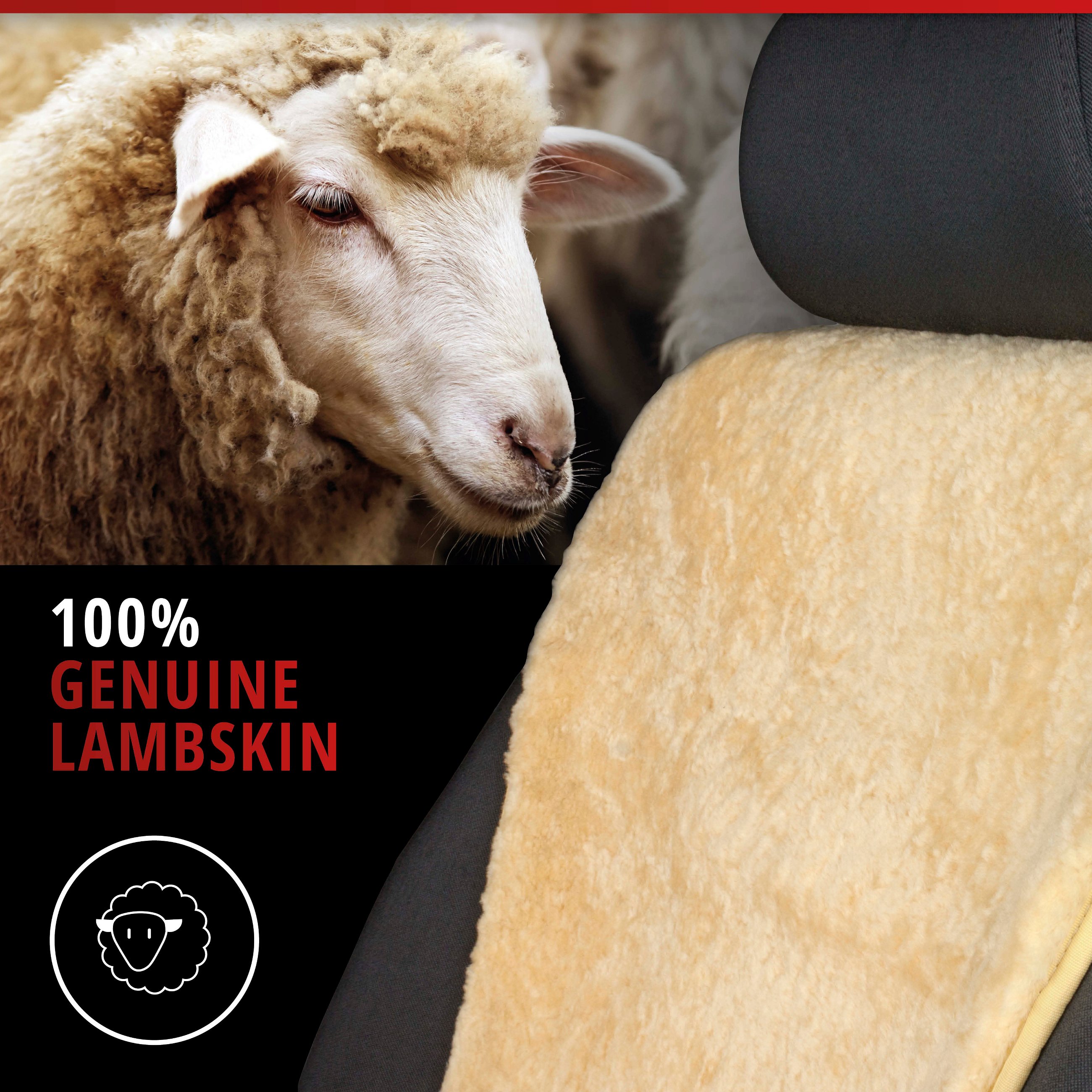 Car Seat cover made of lambskin Vogue beige 16-18mm fur height