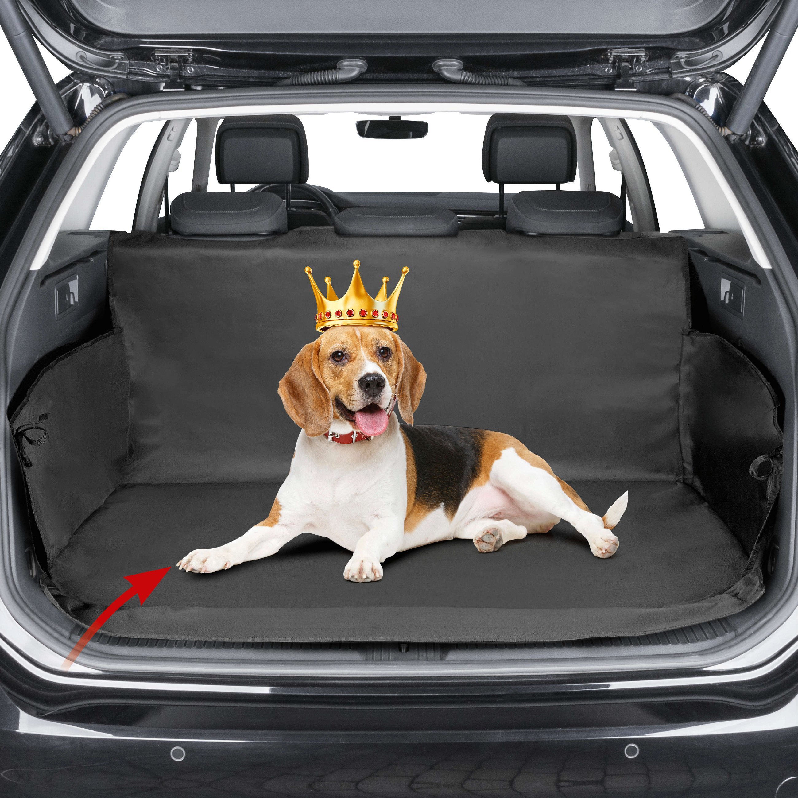 Kofferraumdecke Cäsar, Auto-Hundedecke, Kofferraummatte mit Seitenschutz schwarz