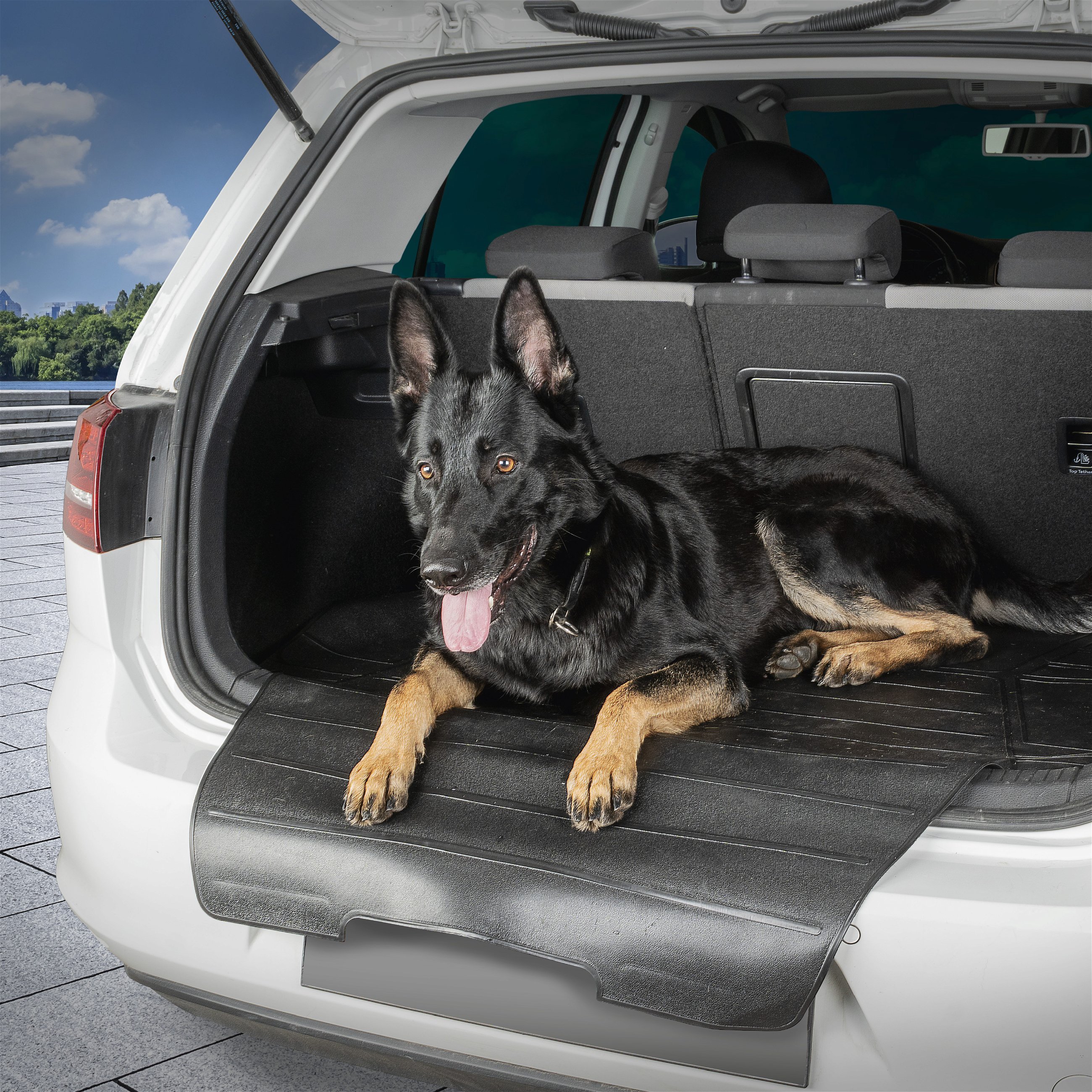 Pare-Chocs de Voiture Protecteur Universel pour Chiens, Tapis de