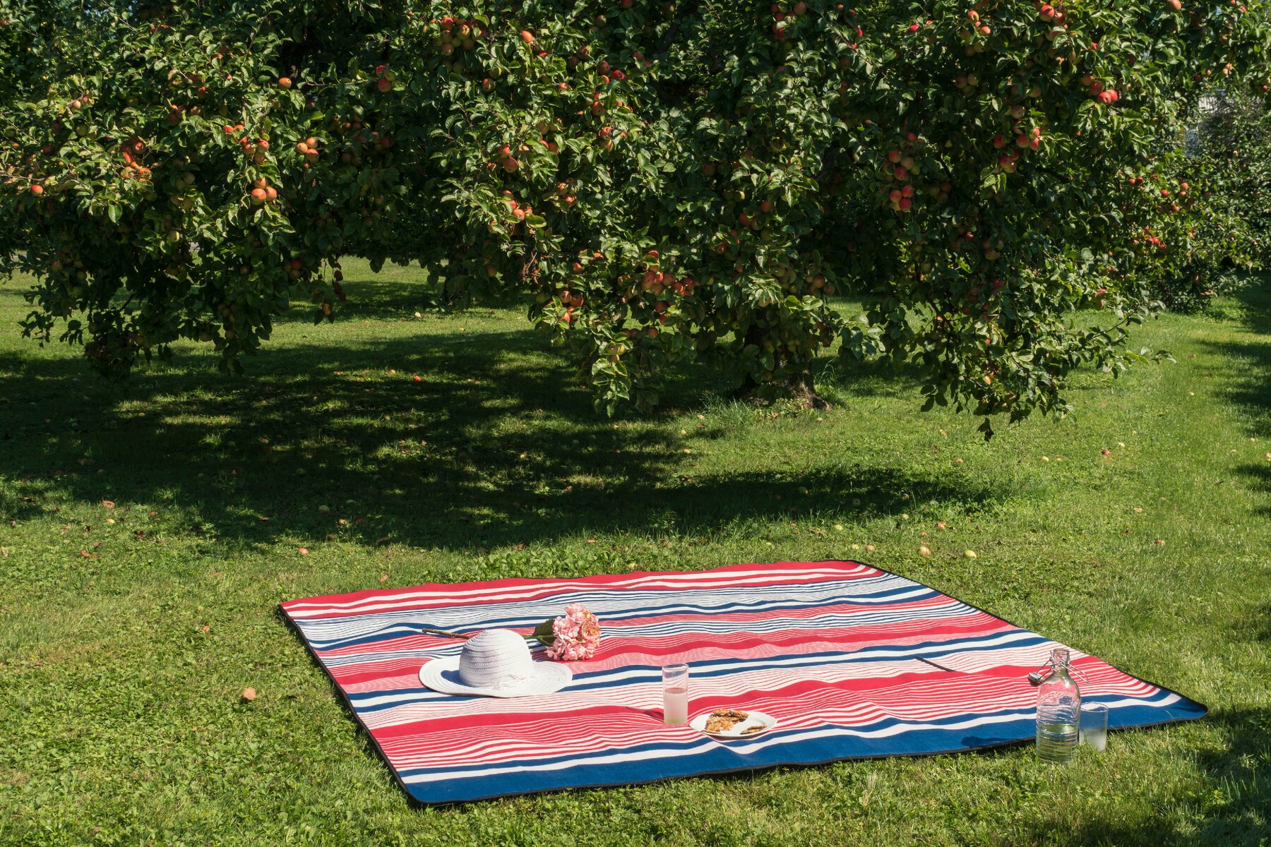 Travel blanket with aluminium back red/blue stripes 200x200cm