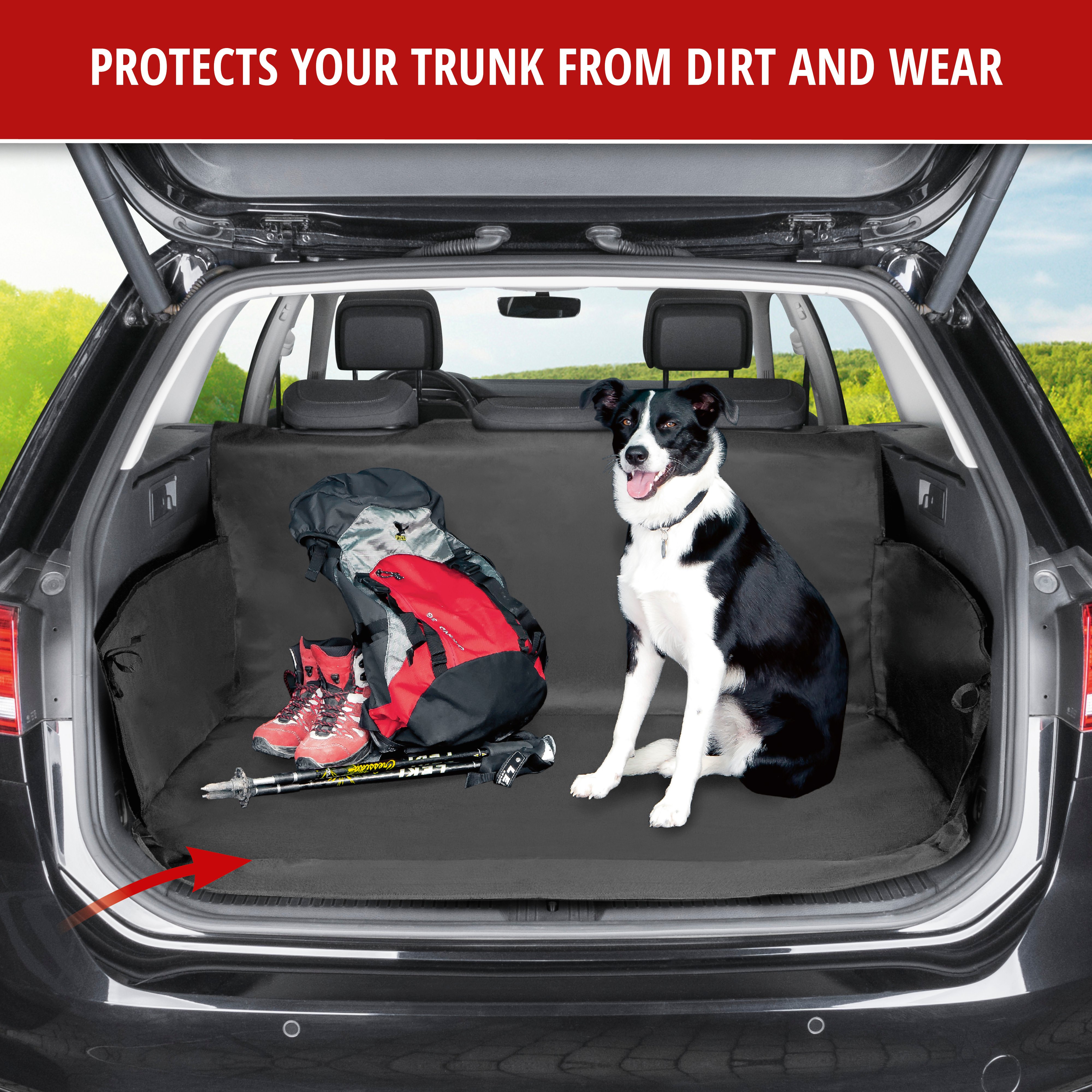 Boot lid dog blanket Caesar