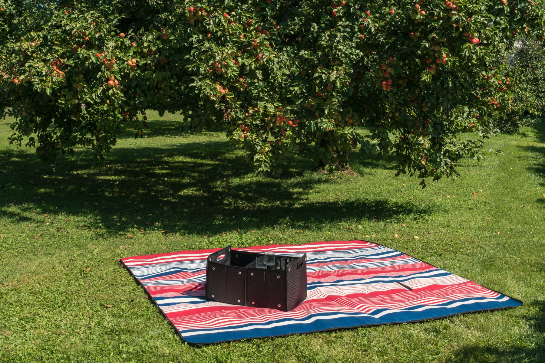 Travel blanket with aluminium back red/blue stripes 200x200cm
