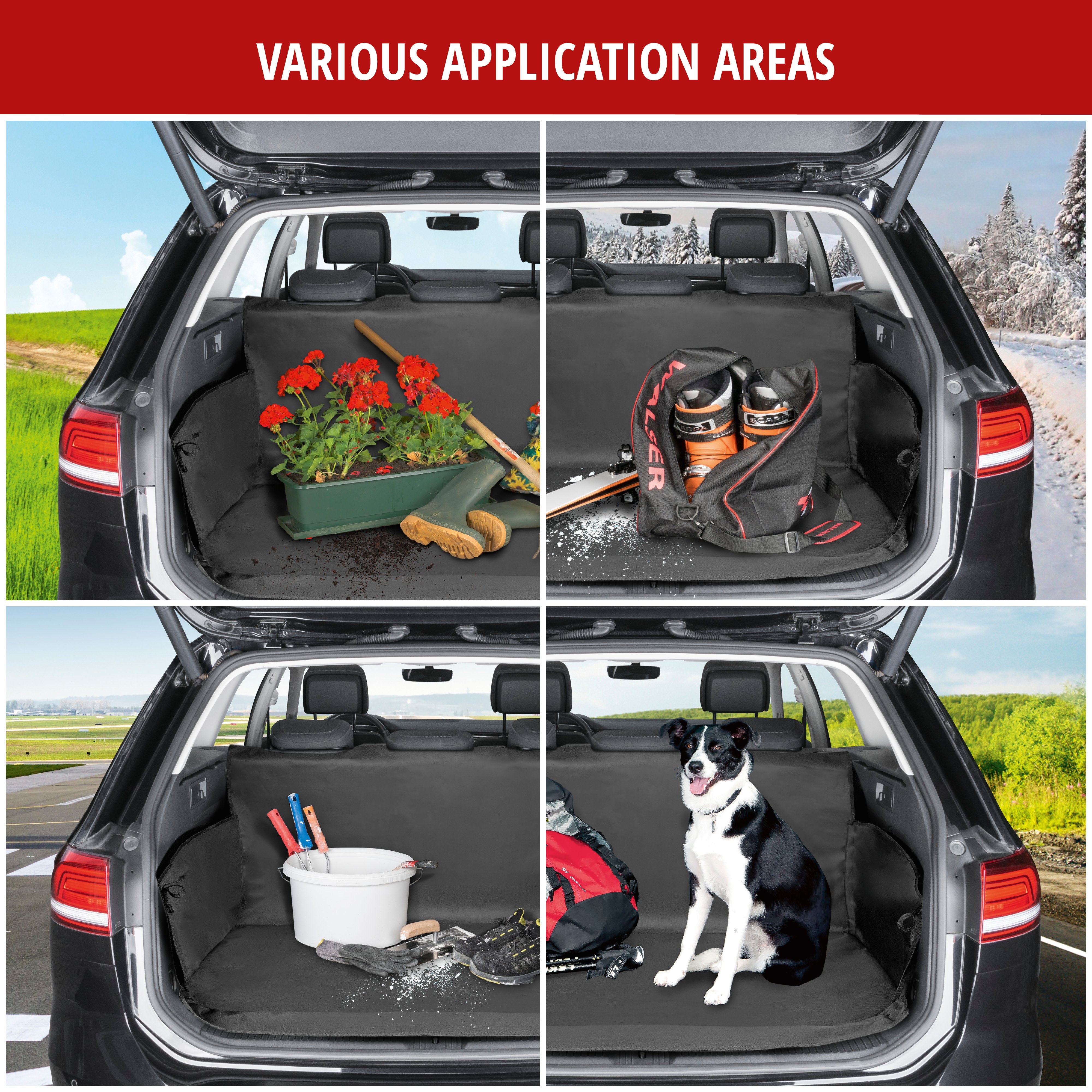 Boot lid dog blanket Caesar